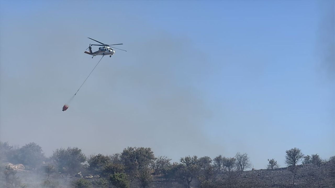 Bodrum'da Orman Yangını: İntihar İddiası Soruşturmayı Başlattı!