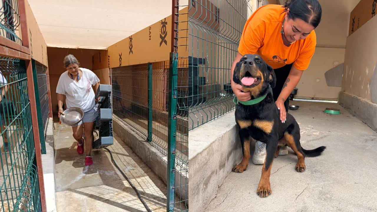 Datça’dan Can Dostlara Yeni Yaşam Alanı Müjdesi!