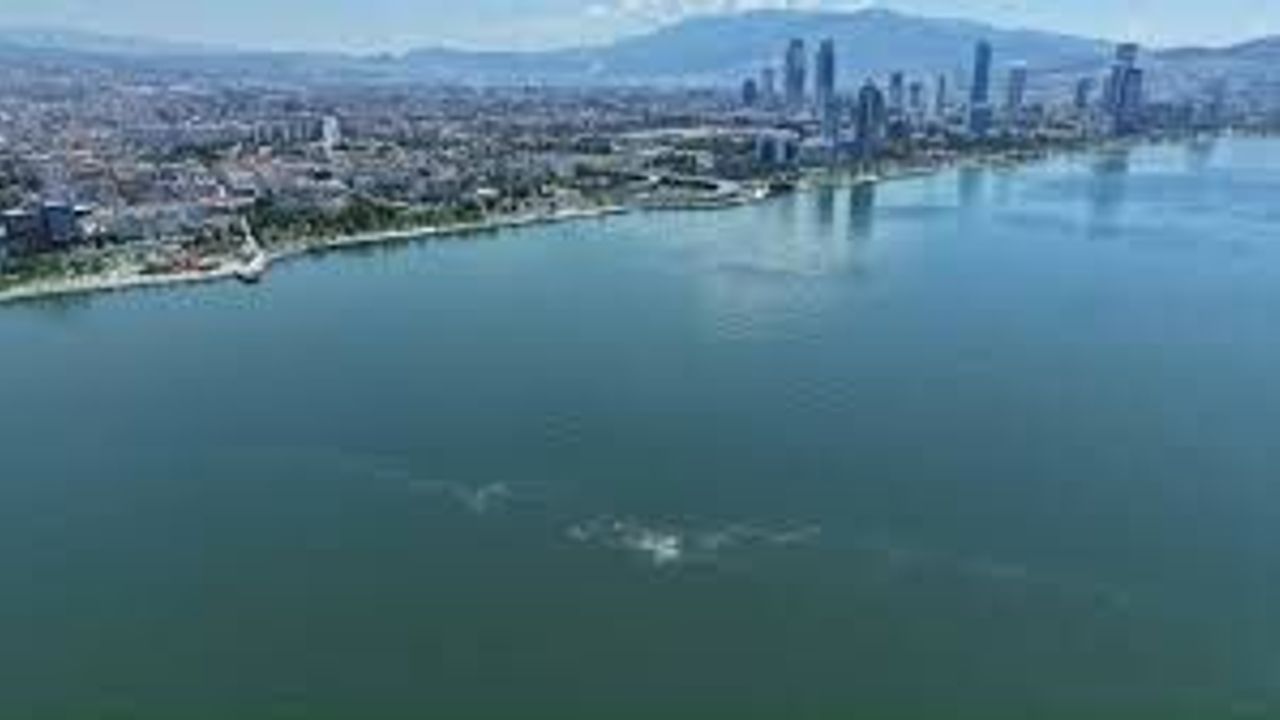 İzmir Körfezi'nde 14. Kez Kirlilik Alarmı: Neden Durmuyor?