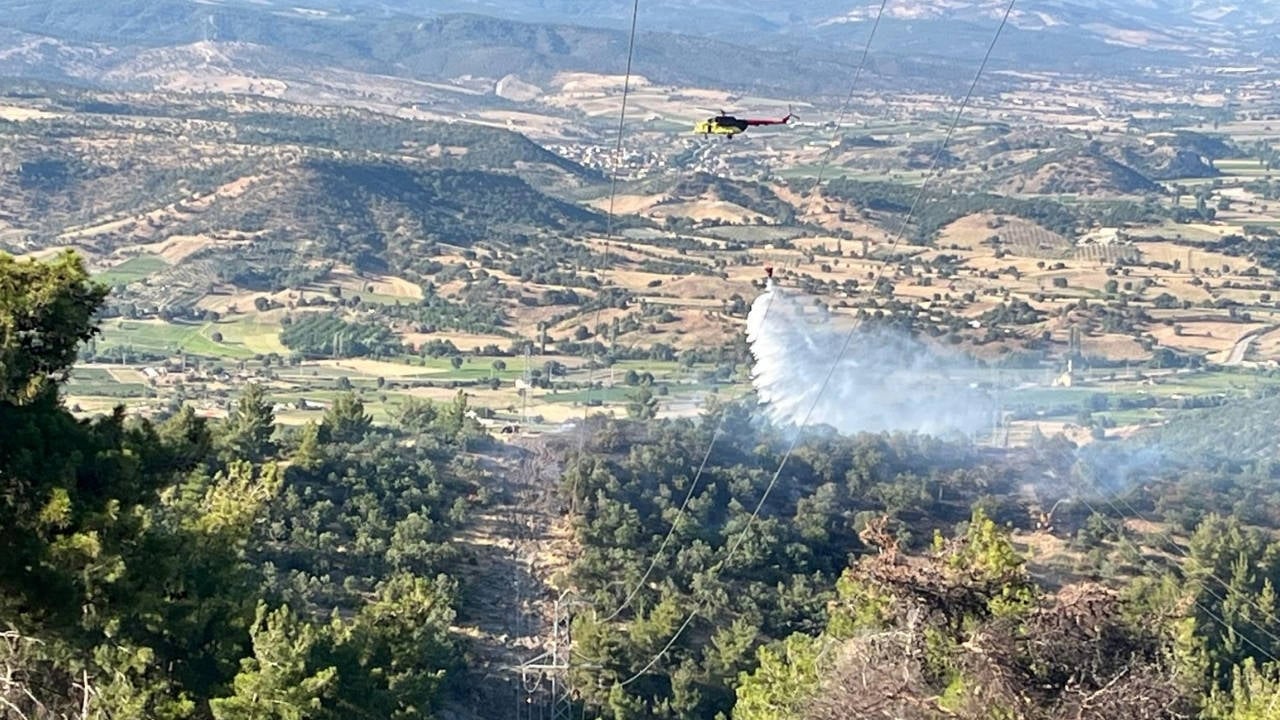 Manisa'daki Orman Yangını Kontrol Altına Alındı: Peki Nedeni Ne?