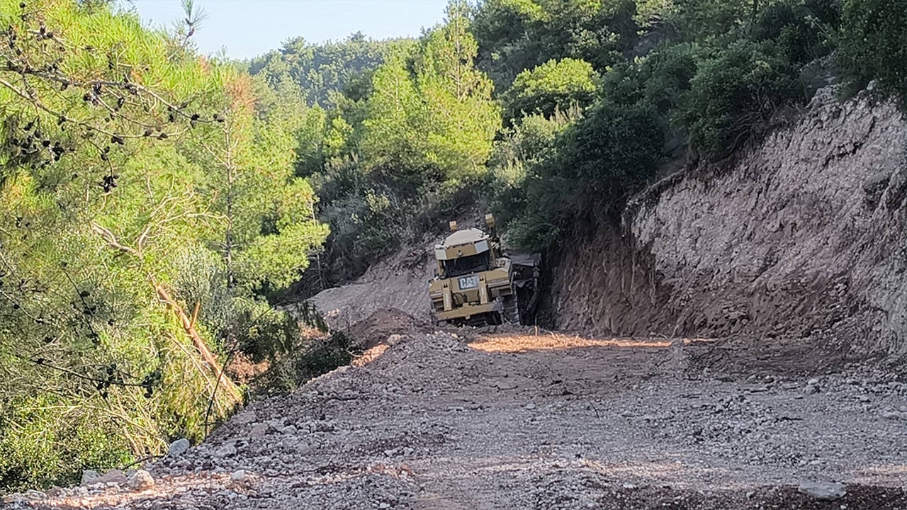 Osmaniye'de Mahkeme Kararına Rağmen Orman Katliamı Sürüyor!
