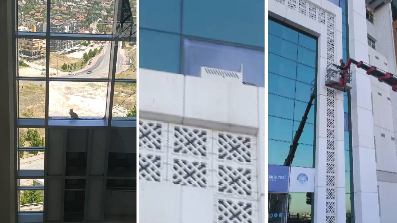 16 Metre Yüksekte Mahsur Kalan Kedi İçin İtfaiye Seferber Oldu!